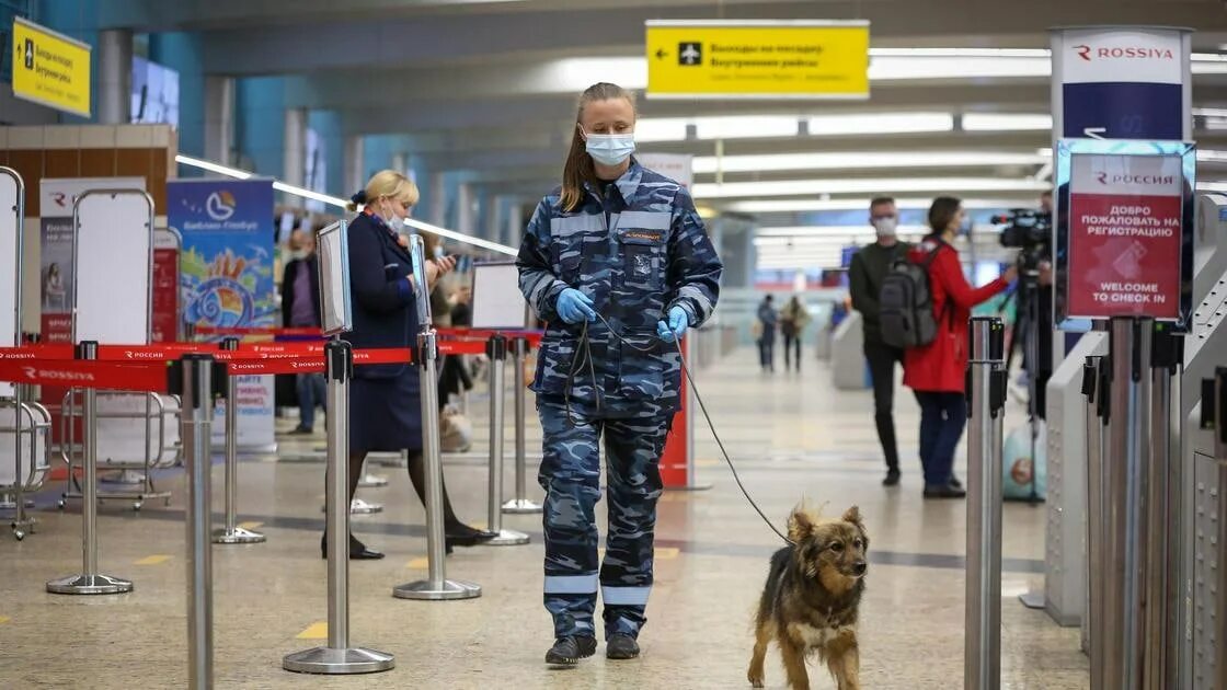 Теракт в аэропорту шереметьево. Безопасность в аэропорту. Аэропорты Москвы. 3 Уровень безопасности в аэропорту. Шереметьево безопасность.