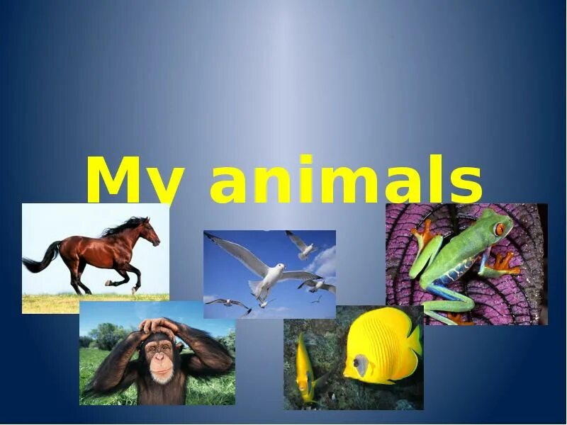 Презентация на тему animals. Spotlight животные. Презентация на тему животные англ. Animals 2 класс презентация. Спотлайт 2 животные