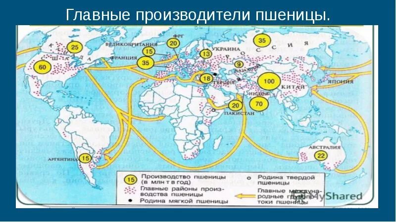Ареалы размещения основных зерновых культур (пшеница, рис, кукуруза). Главные районы производства пшеницы. Главные районы производства риса. Основные районы выращивания пшеницы кукурузы риса в мире. Главные районы производства пшеницы.