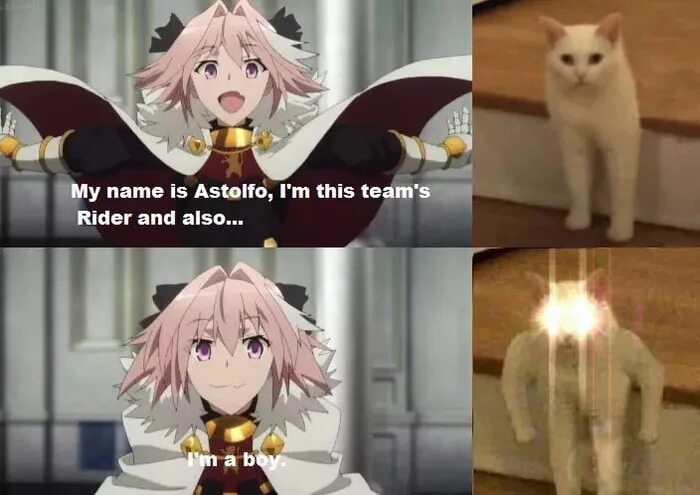 Give this a try. Астольфо Мем. Астольфо прикол. Astolfo мемы.