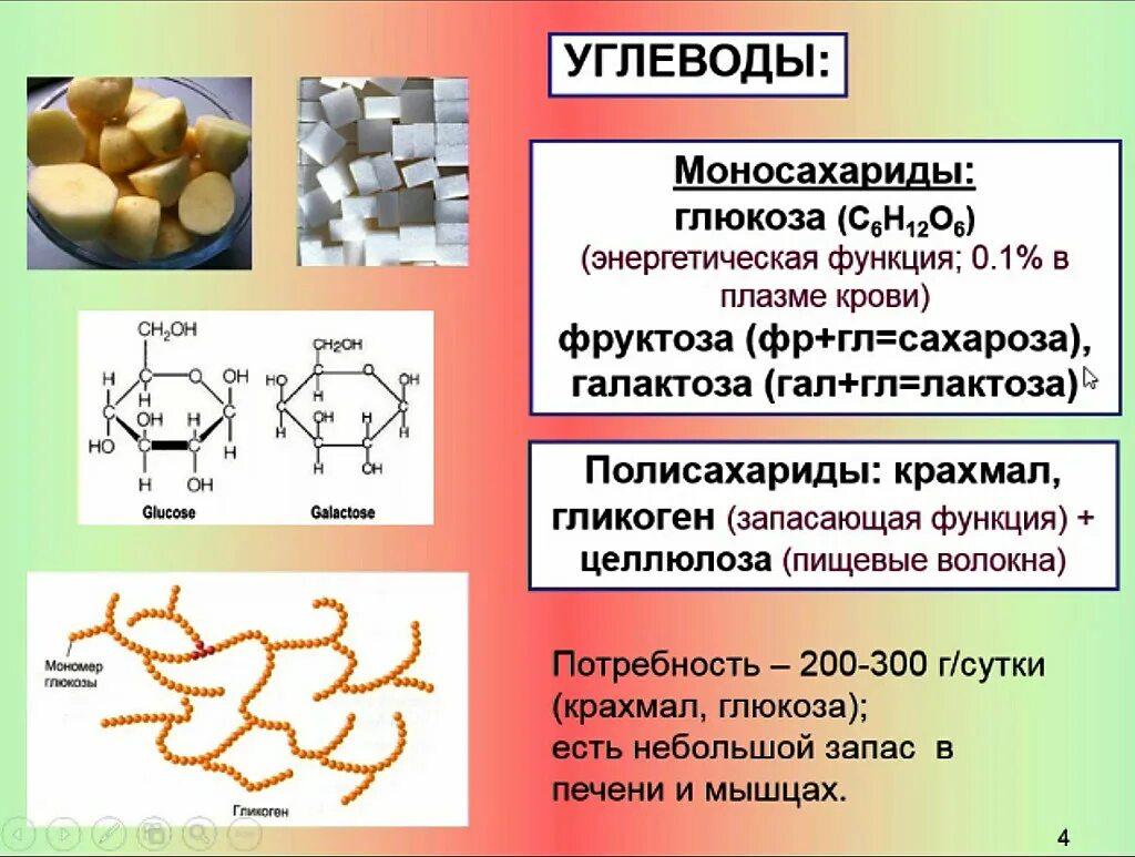 Выполняет функцию мономеры белков. Полисахариды крахмал гликоген Целлюлоза хитин. Углеводы крахмал гликоген Целлюлоза. Глюкоза крахмал гликоген. Гликоген полисахарид.