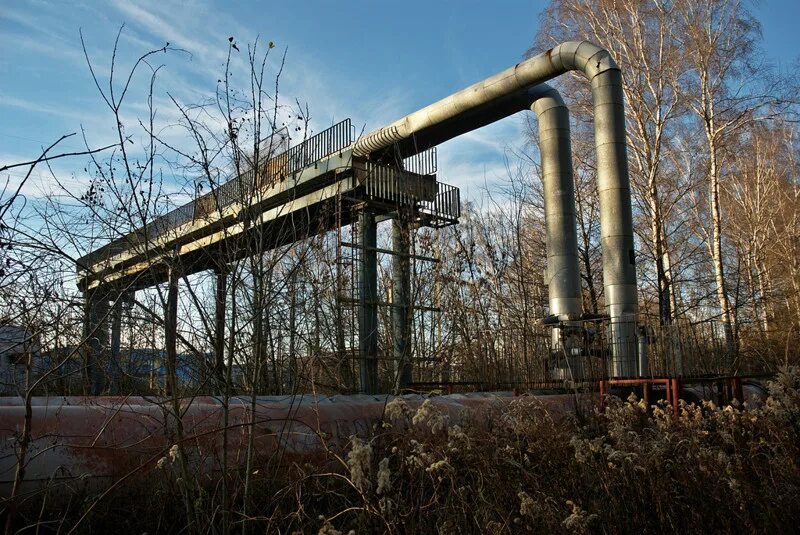 Теплотрасса в городе. Теплотрасса. теплотрасса в лесу. заброшенные теплосети. трубы теплосети.