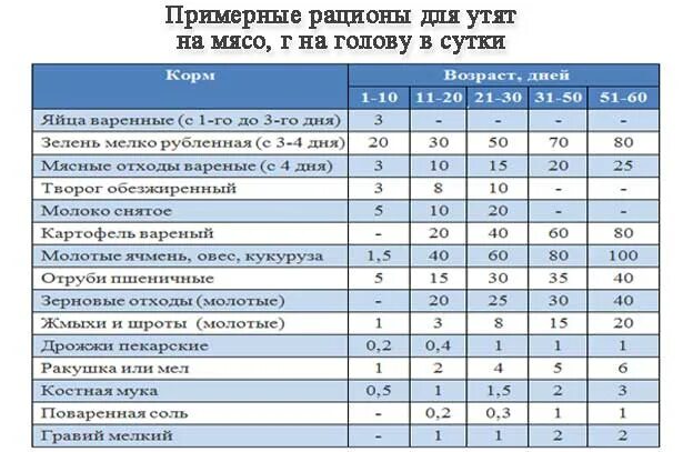 Кормление таблица кормления утят мулардов. Норма корма для уток мулардов. Нормы кормления мускусных уток. Норма корма для мулардов в сутки по возрасту таблица.