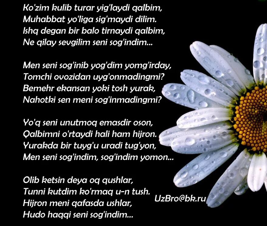 перевод песен шер на русский