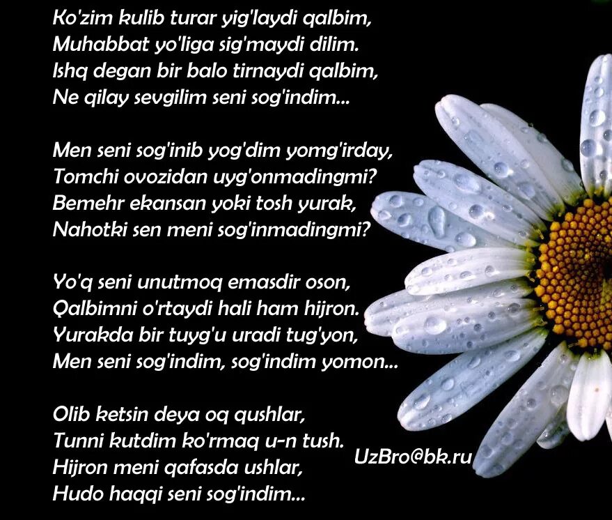 Онам мене. Сени согиндим. Согиндим йор сени согиндим. Бахор Шер. Хакида шерлар.