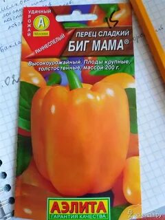 Перец биг мама