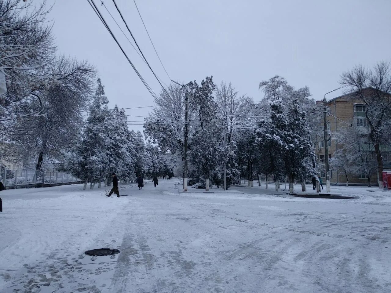 Сальск зимой. Снег в Сальске. Сальск пейзаж. Город Сальск зимой.