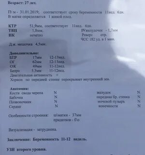 Нос 11 недель