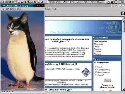 Cat linux