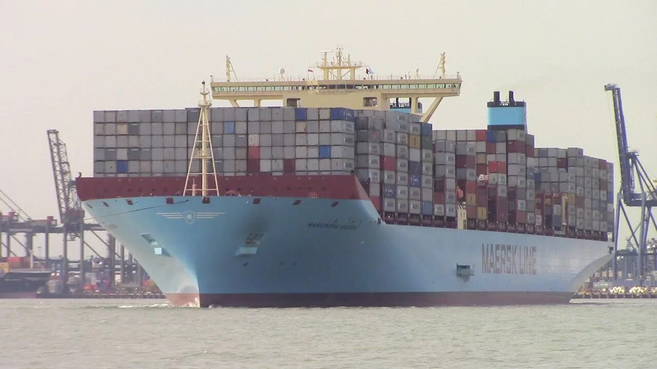 E ships