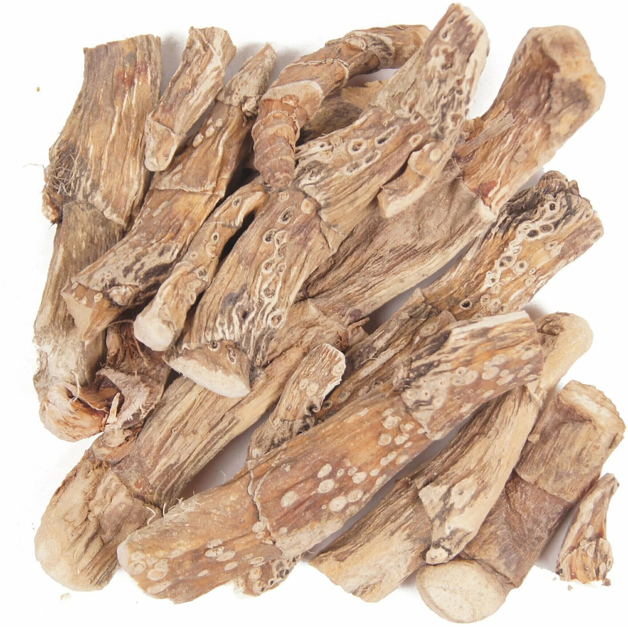 Аир болотный корневища. Аир болотный корень. Аир обыкновенный корневища. Аир болотный корень. Аир обыкновенный корень.