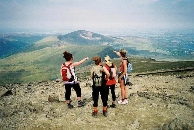 Go to the wild