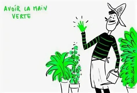 Vous la