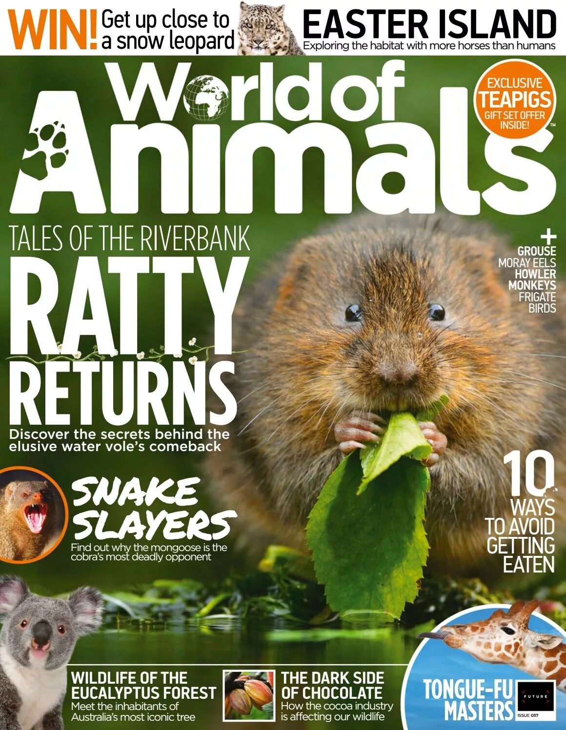 Animal Magazine. Magazine about animals. Magazines in English animals. Animal Issues.