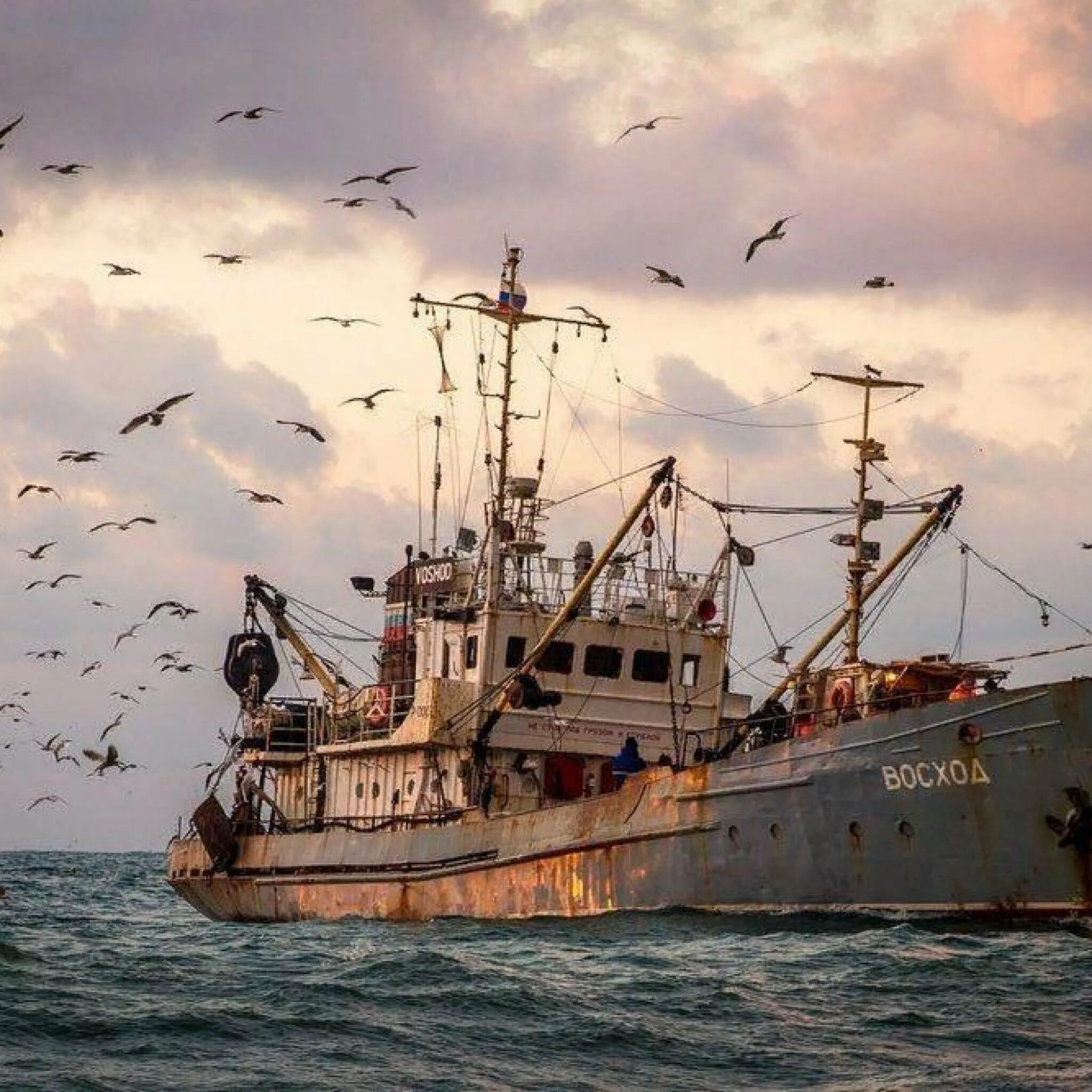 Рыболовецкое судно в черном море. Рыболовный траулер Рыбак. Рыболовецкий траулер белое море.