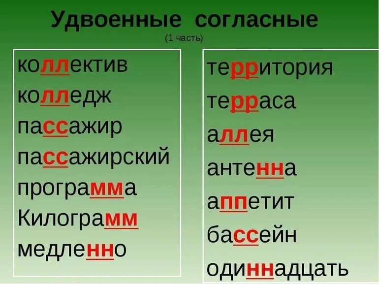 Слова из 5ти букв вторая т. Правописание слов с удвоенными согласными примеры. Словарь правописания слов с удвоенными согласными. Слова с удвоенными согласными 2 класс правило примеры. Правописание слов с удвоенными согласными правило.