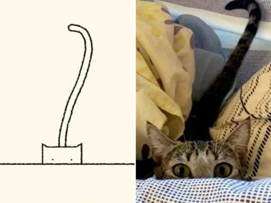 Включи котика ну. Кот прикол рисунок. Ошибки в рисовании котов. Перевернутый котик рисунок. Мемы коты рисовать.