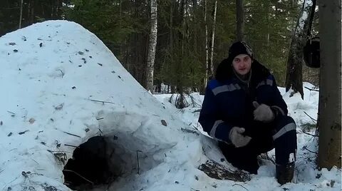 Выжить зимой