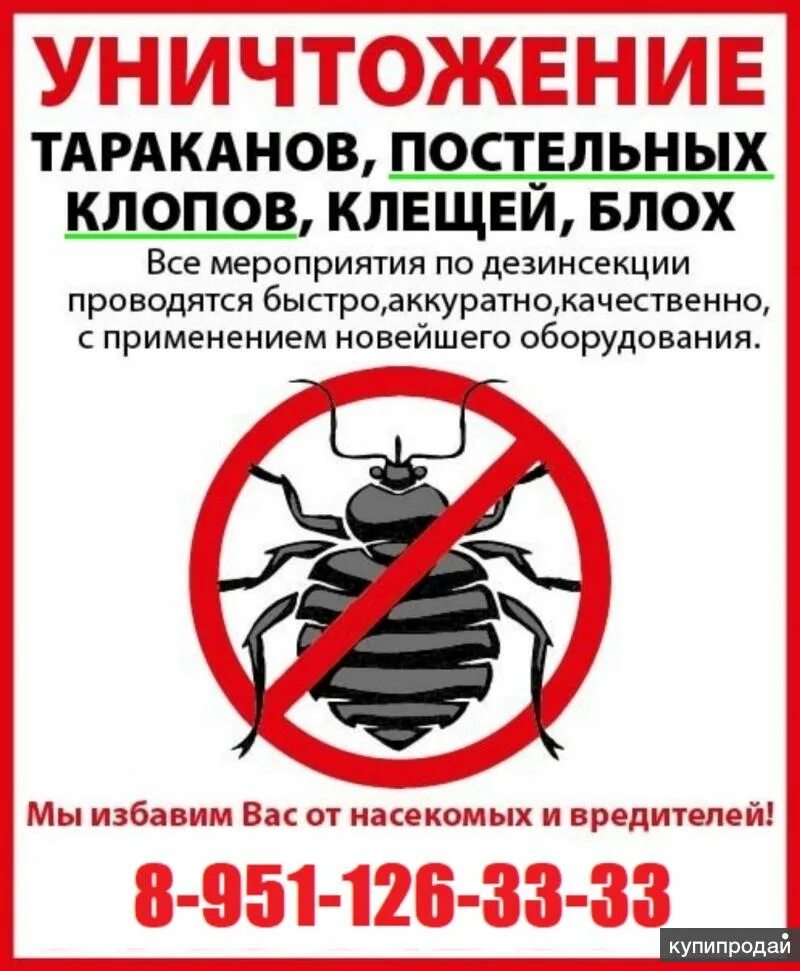 Дезинфекция от клопов в квартире. Номер телефона обработки клопов. Дезинфекция от клопов в квартире. Дезинфектор клопов. Номер телефона обработки клопов.