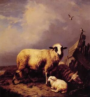 Art lamb
