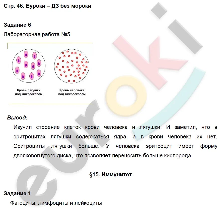 Лабораторная работа 9 по биологии 8 класс. Практическая работа по биологии 8. Гдз по биологии 8 класс лабораторная работа. Лабораторная работа по биологии 8 класс. Биология 8 класс задания.