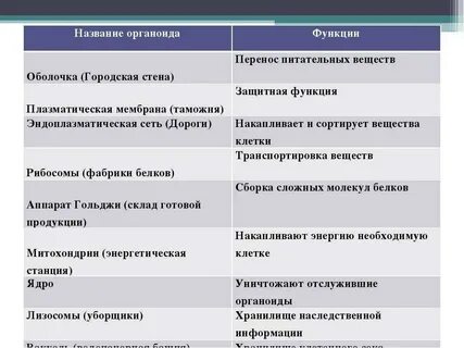 Функции органоидов клетки таблица 8 класс биология