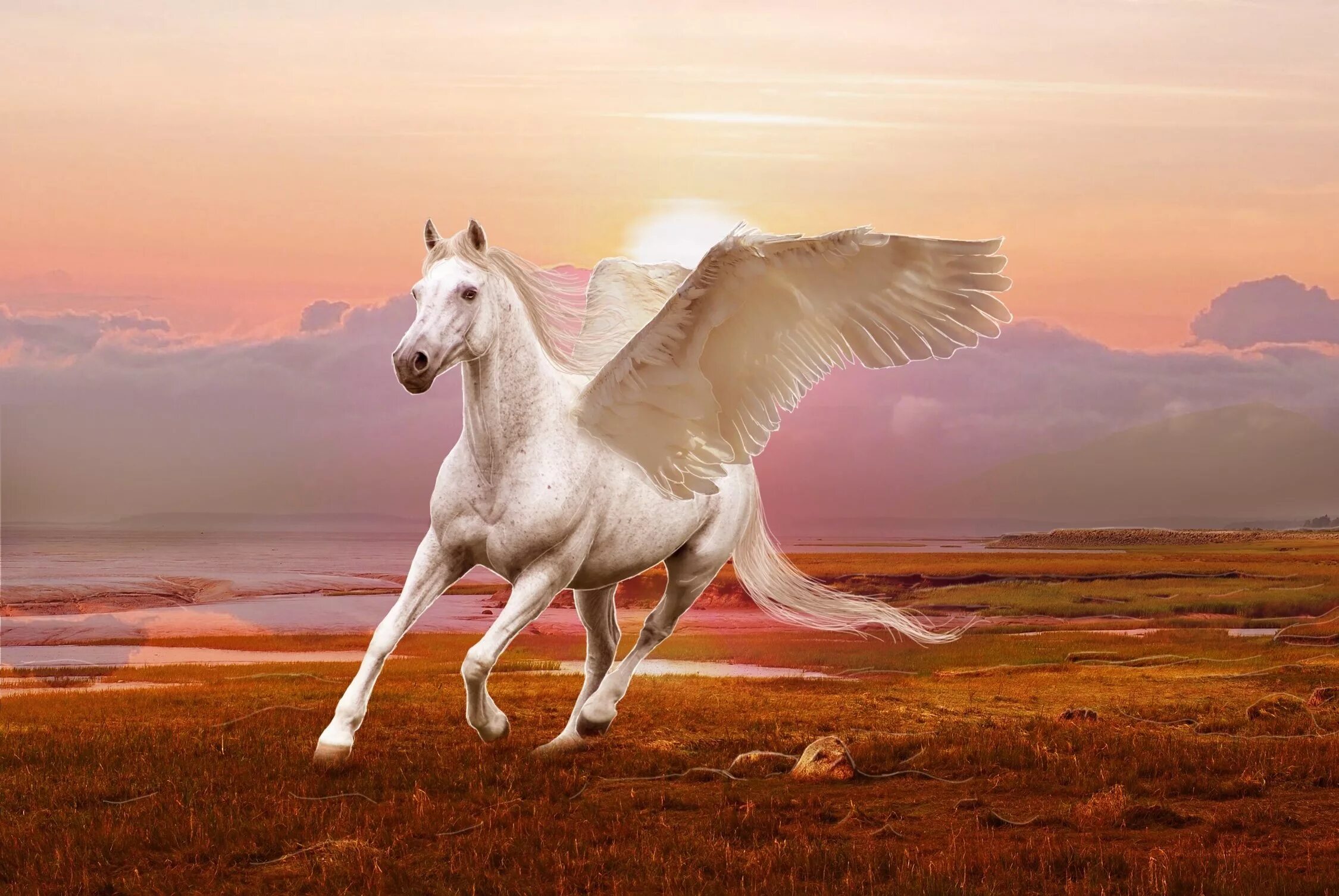 Winged horse. Крылатый конь Пегас. Летающая лошадь. Белая лошадь с крыльями. Конь с крыльями.