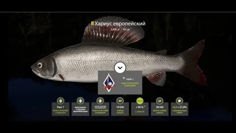 Рр4 река белая