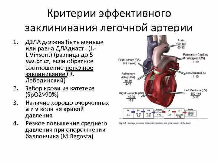 Как измерить давление в легочной артерии. Как измерить давление в легочной артерии