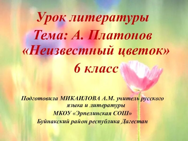 Размышляем о прочитанном неизвестный цветок 6 класс. Платонов а. "неизвестный цветок". Иллюстрация к неизвестному цветку. Платонов неизвестный цветок презентация 6 класс. Платонов неизвестный цветок 6 класс.