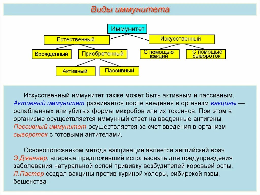 После вакцины вырабатывается. Искусственный пассивный иммунитет вырабатывается после введения. Активный и ПАССИВЫНЙ иму. Искусственный иммунитет. Искусственный активный иммунитет формируется.