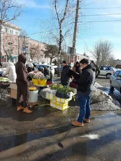 Новости алексина
