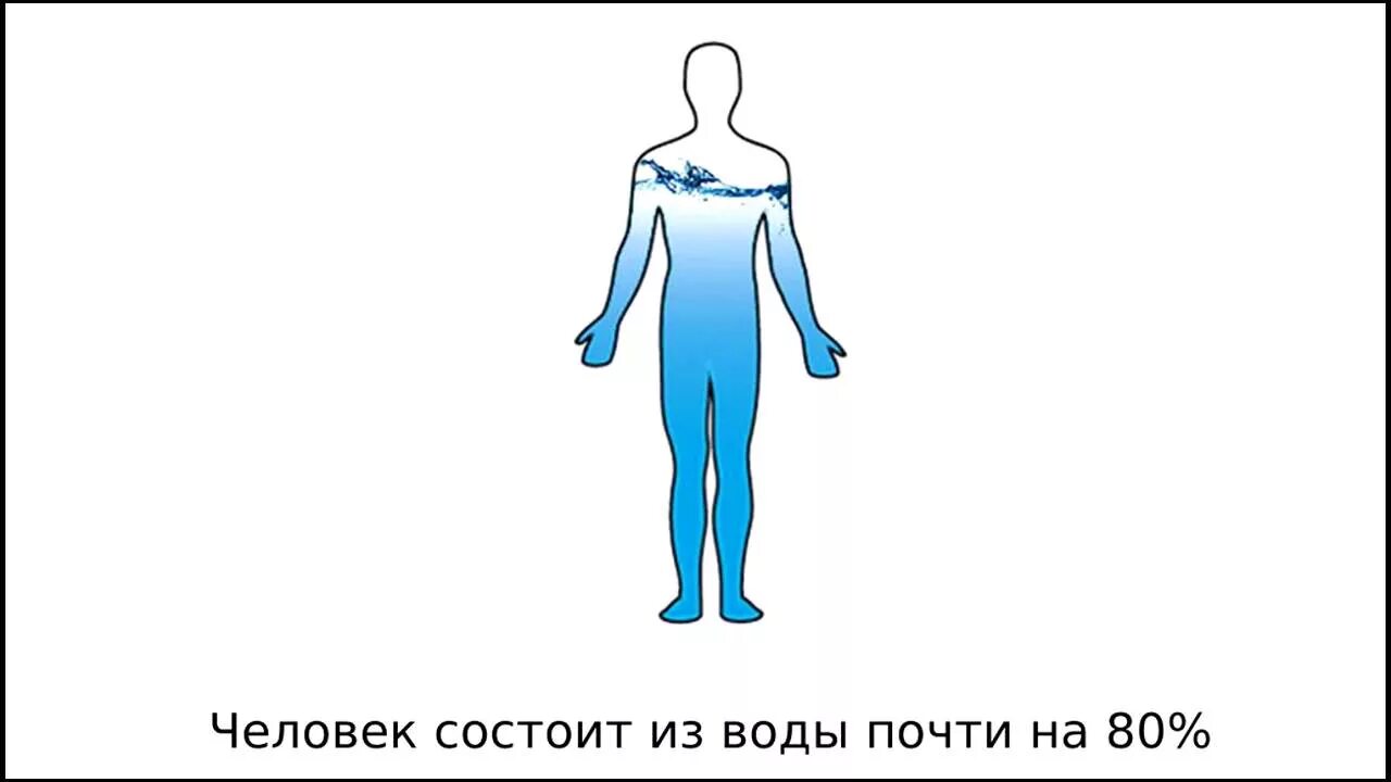 Насколько человек из воды. Организм человека на 80 процентов состоит из воды. Человек на 70 процентов состоит из воды. Человек состоит изьводы. Чедоанк состоит из воды.