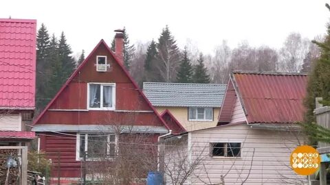 Снт банкрот