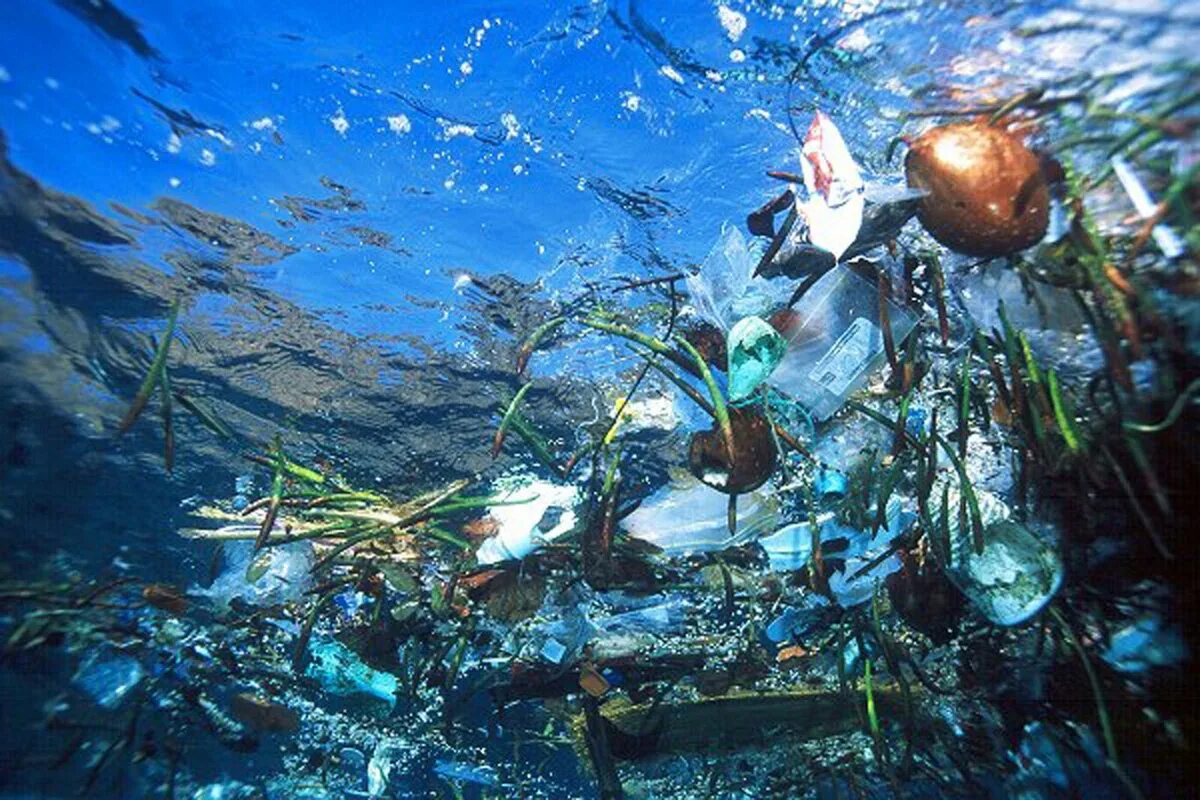 26 августа 2012 года в тихом океане. Загрязнение мирового океана. Пластик в океане. Экология морей и океанов. Загрязнение вод мирового океана.