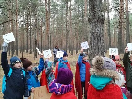 Вальдорфская школа во владимире