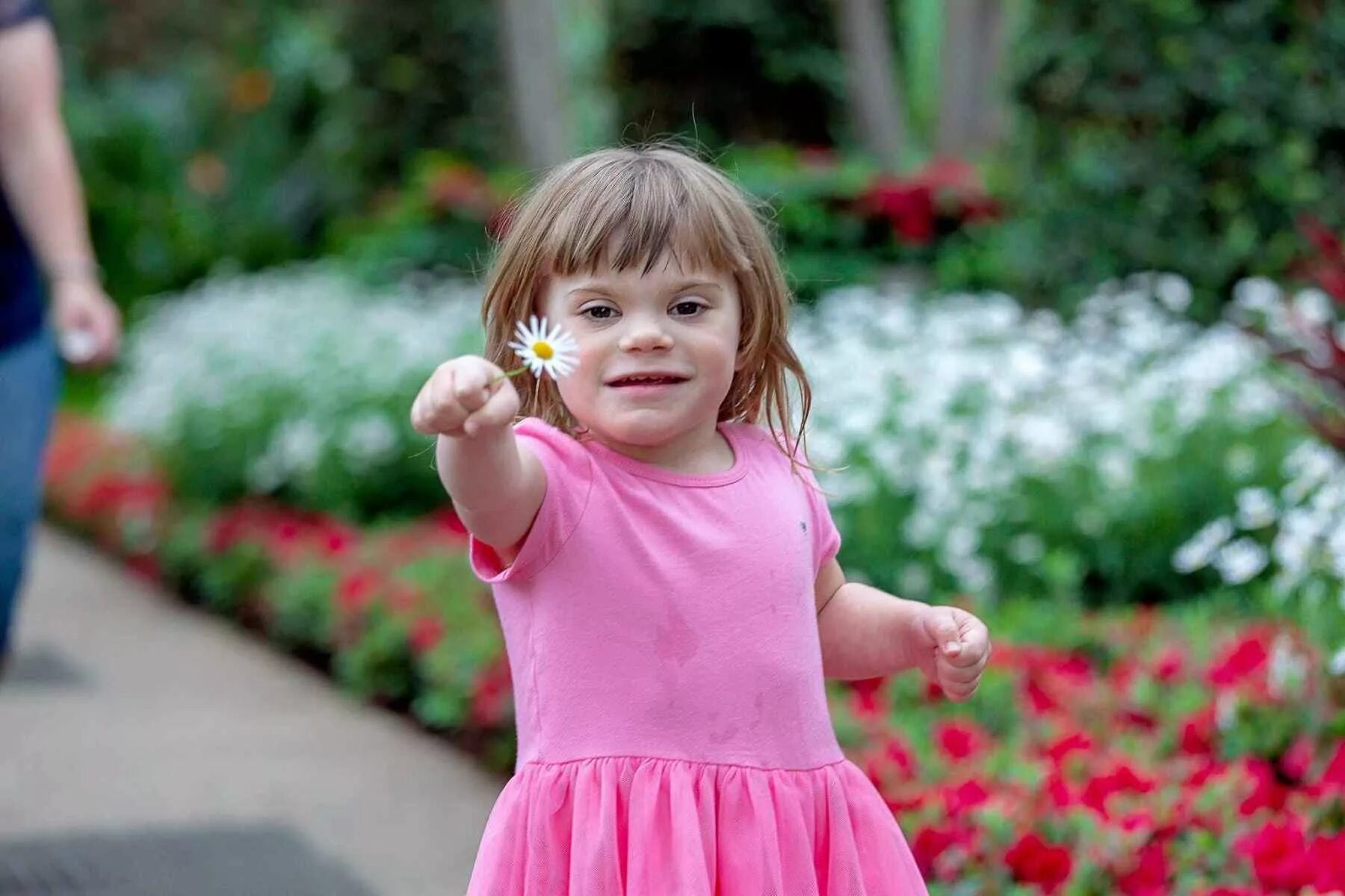 Май тернера. Май тернера. Уильям тернер картины. Май тернера. Май тернера.