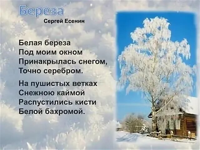 Есенин береза. Есенин белая береза художественные средства. Есенин белая береза художественные средства. Есенин белая береза художественные средства. Есенин белая береза художественные средства.
