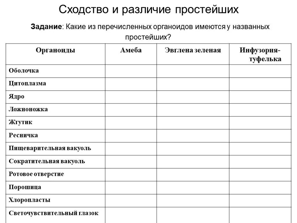 Сходства и различие простейших. Сравнительная таблица простейших амеба эвглена инфузория. Сходство и различие строения простейших таблица 7 класс. Сходство и различие простейших таблица 7 класс биология. Сходство и различие строения простейших таблица.