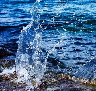 Водичка водная