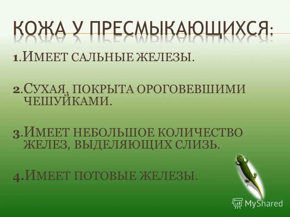 Кожная железа у пресмыкающихся. У пресмыкающихся есть потовые железы. Кожные железы рептилий. Кожа пресмыкающихся. Кожа пресмыкающихся имеет сальные железы.