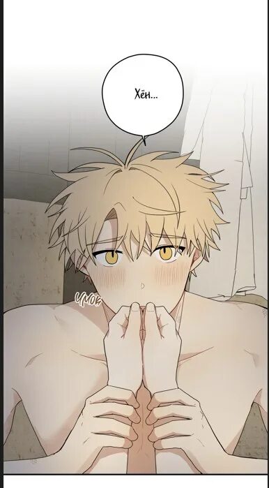 дорога где упала форзиция 38 глава