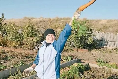 Когда копать хрен