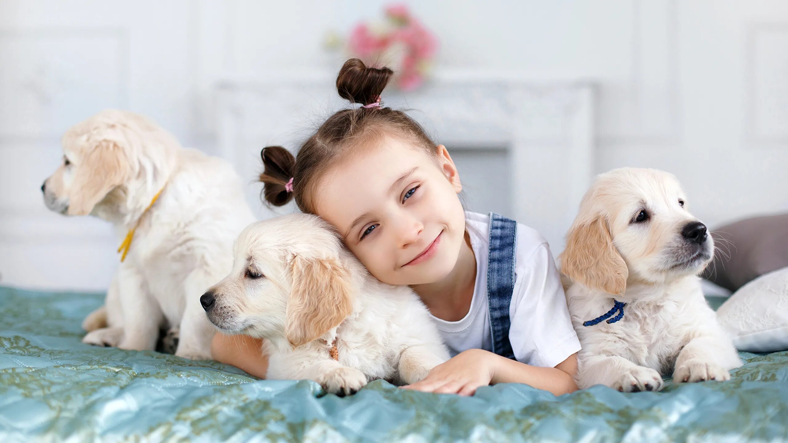 Девочка. Собака для детей. Девочка с собачкой на белом фоне. Маленькие добрые дела. Как выглядит собака девочка.