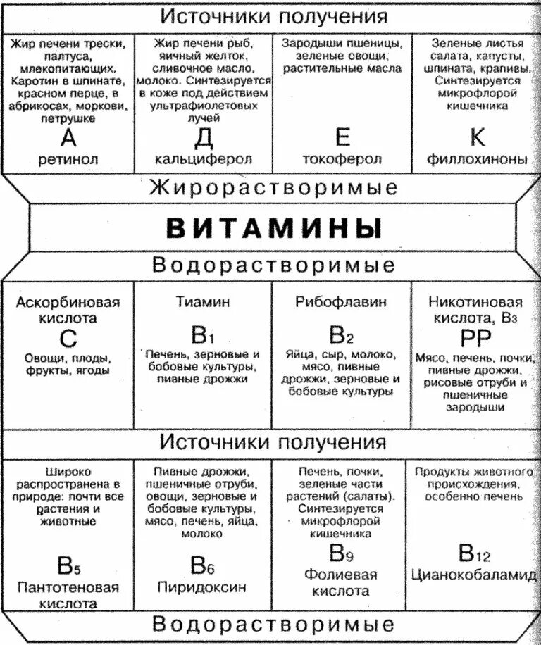 Таблица по витаминам биология 9 класс. Таблица витаминов по биологии 9 класс. Таблица витамины 8 класс. Таблица по биологии 8 класс характеристика витаминов. Таблица по биологии витамины и их роль в организме.