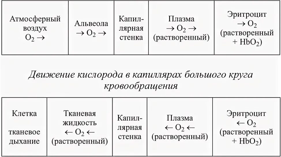 Последовательность этапов движения кислорода. Основные показатели газообмена их оценка.