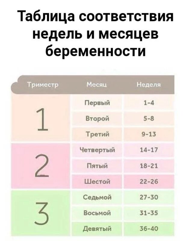 30 недель это. Триместры беременности по неделям и месяцам таблица. Недели беременности по неделям и месяцам. Недели месяцы триместры беременности. Недели беременности потмесяцам.