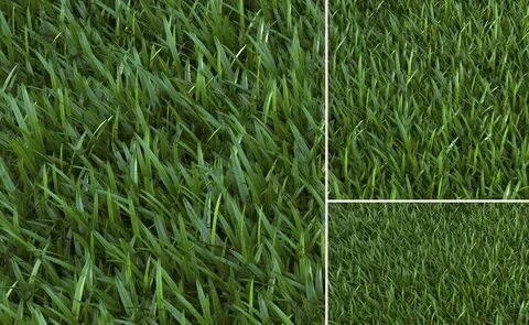 Grass ones