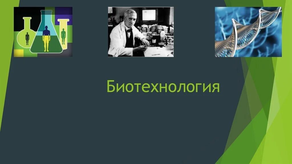 Роль биотехнологии. Биотехнология презентация. Биотехнология это в биологии. Биоинженерия презентация. Презентация по биотехнологии.