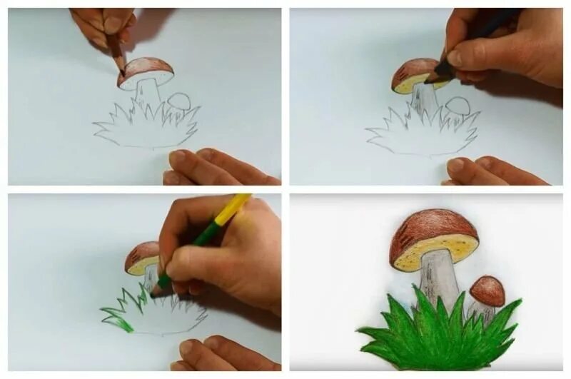 Рисование грибы. Уроки рисования грибы. Рисование с детьми грибы. Поэтапное рисование грибов. Грибы поэтапно